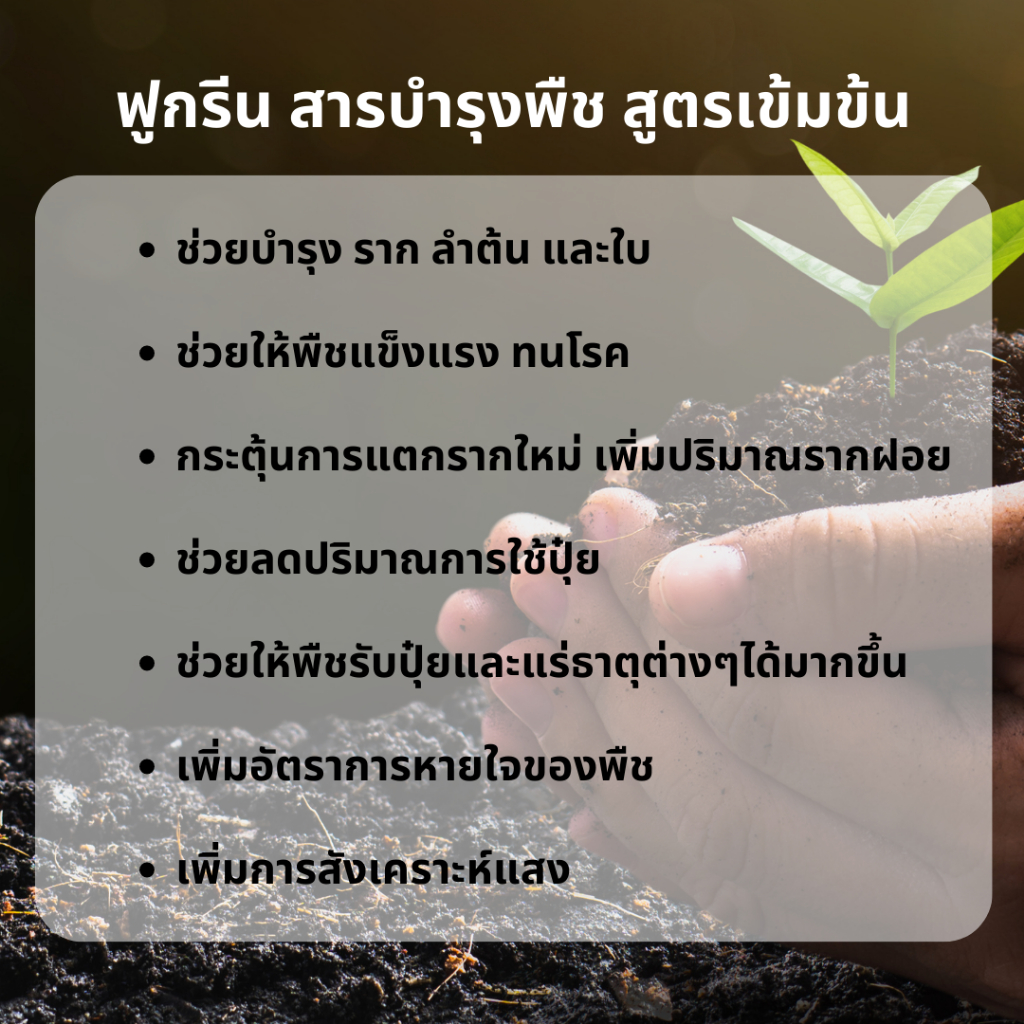 ฟูกรีน สารบำรุงพืช สูตรเข้มข้น กระตุ้นรากใบ เร่งราก ปรับสภาพดิน - รูปที่ 2