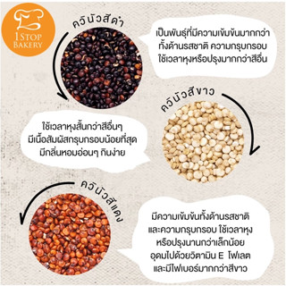 Organic Quinoa Black,White,Red 500 g./ควินัวออร์แกนิค ขนาด 500 กรัม