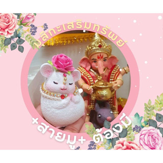 หนูมสิกะน่ารัก บริวารพระพิฆเนศ