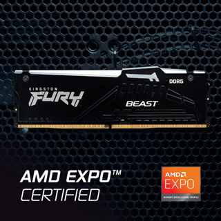 16GB (16GBx1) DDR5 5200MHz RAM (หน่วยความจำ) KINGSTON FURY BEAST DDR5 RGB (AMD EXPO) (BLACK) (KF552C36BBEA-16)-LifeTime