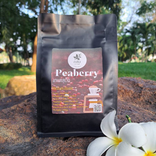 กาแฟพีเบอร์รี่ Peaberry เมล็ดกาแฟคั่ว เทพเสด็จ คั่วกลาง หอม