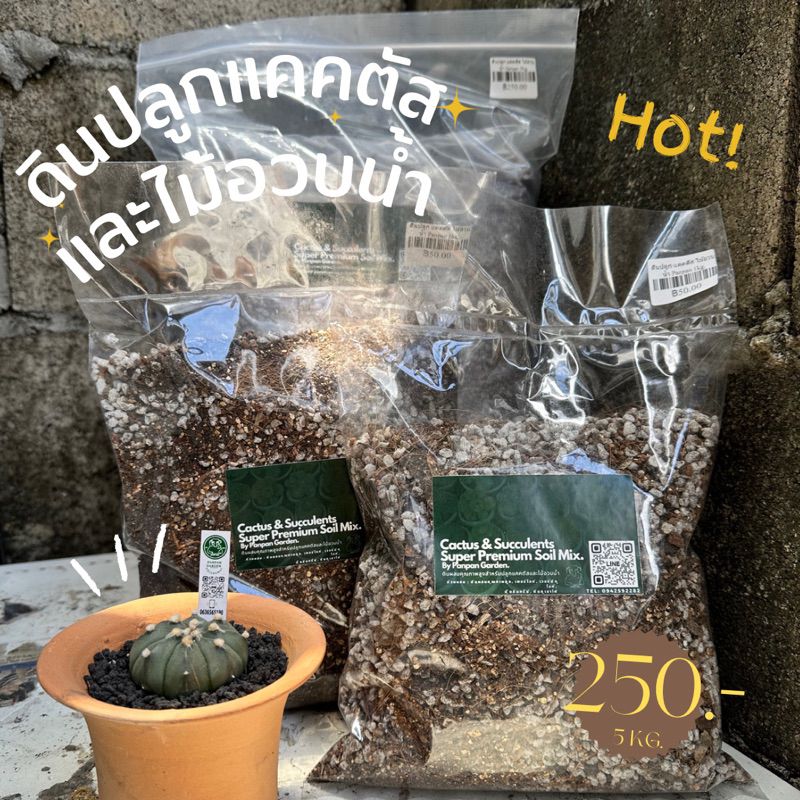 ดินปลูกคุณภาพสูง สำหรับแคคตัสและไม้อวบน้ำ (Cactus &amp; Succulents Super Premium Soil Mix. ) 5kg หรือ 8 kg