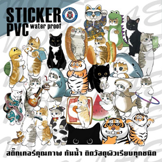 Sticker waterproof Cat สติ๊กเกอร์แมวน่ารัก น้องแมวน้อย สติ๊กเกอร์กันน้ำ