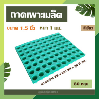 ถาดเพาะเมล็ด สีเขียว 80 หลุม แบบกลม ขนาด 1.5 นิ้ว หนา 1 มม. ถาดเพาะชำ ถาดเพาะกล้า เพาะเมล็ดแคคตัส กระบองเพ็ชร ปลูกผักได้