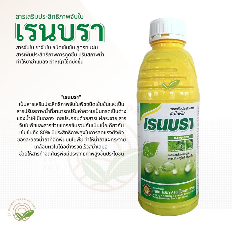 เรนบรา 1 ลิตร, สารจับใบ ยาจับใบ ชนิดเข้มข้น สูตรทนฝน สารเพิ่มประสิทธิภาพการดูดซึม ทำให้ยาฆ่าแมลง ฆ่าหญ้าใช้ได้ผลดีขึ้น ราคา ถูกที่สุด ดีลบีเคเค แกลเลอรีภาพที่ 2