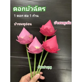 บัวฉัตร ดอกบัวฉัตร ดอกบัว ดอกบัวตูม ดอกบัวก้าน ดอกไม้ประดิษฐ์ มีหลายสี พร้อมส่ง‼️