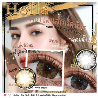 Holla gray/Brown สายตาปกติ-600(Mini/Bigeye)