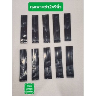 ถุงเพาะชำสีดำขนาด 2×9 จำนวน 10 ใบ