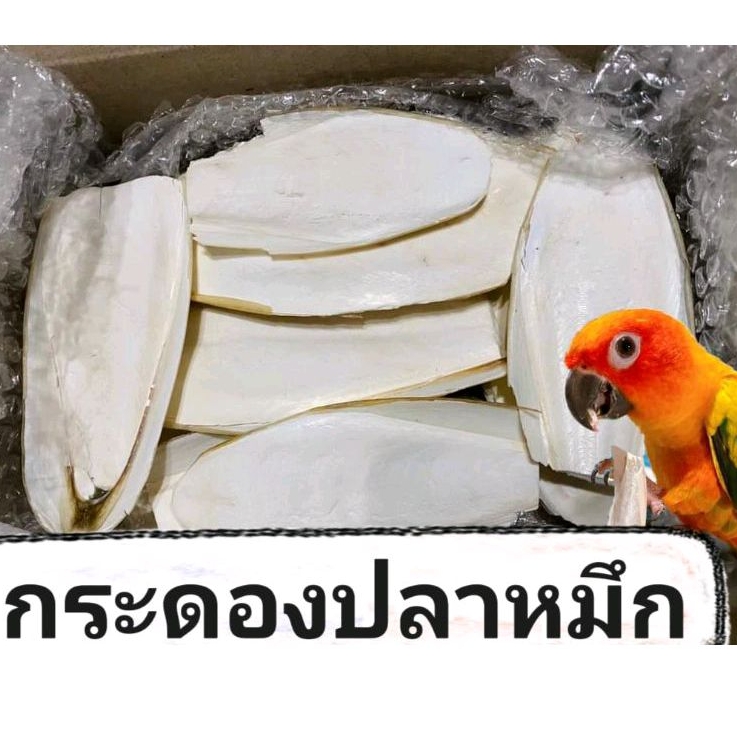 ลิ้นทะเล/กระดองปลาหมึก แบบหักคละไซส์ 100กรัม(ชิ้นใหญ่)