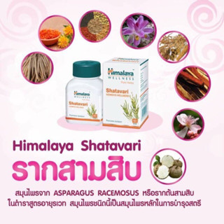 ของแท้💯 Himalaya Shatavari สมุนไพร รากสามสิบ ช่วยบำรุงเลือด ทำให้ผิวสดใส ฟื้นฟูร่างกายคุณเเม่หลังคลอด รักษาภาวะมีบุตรยาก