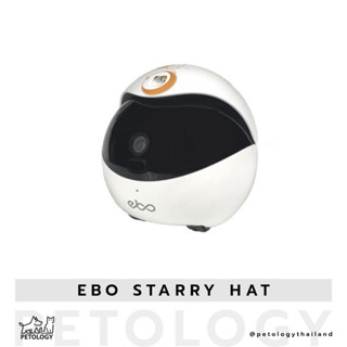 Petology - Ebo Starry Hat