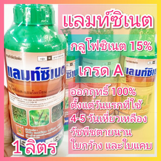 แลมท์ซิเนต ขนาด 1 ลิตร กลูโฟซิเนต แอมโมเนียม 15 สูตรตายนาน ฆ่าหญ้า กำจัดวัชพืช เผาไหม้ ดูดซึม