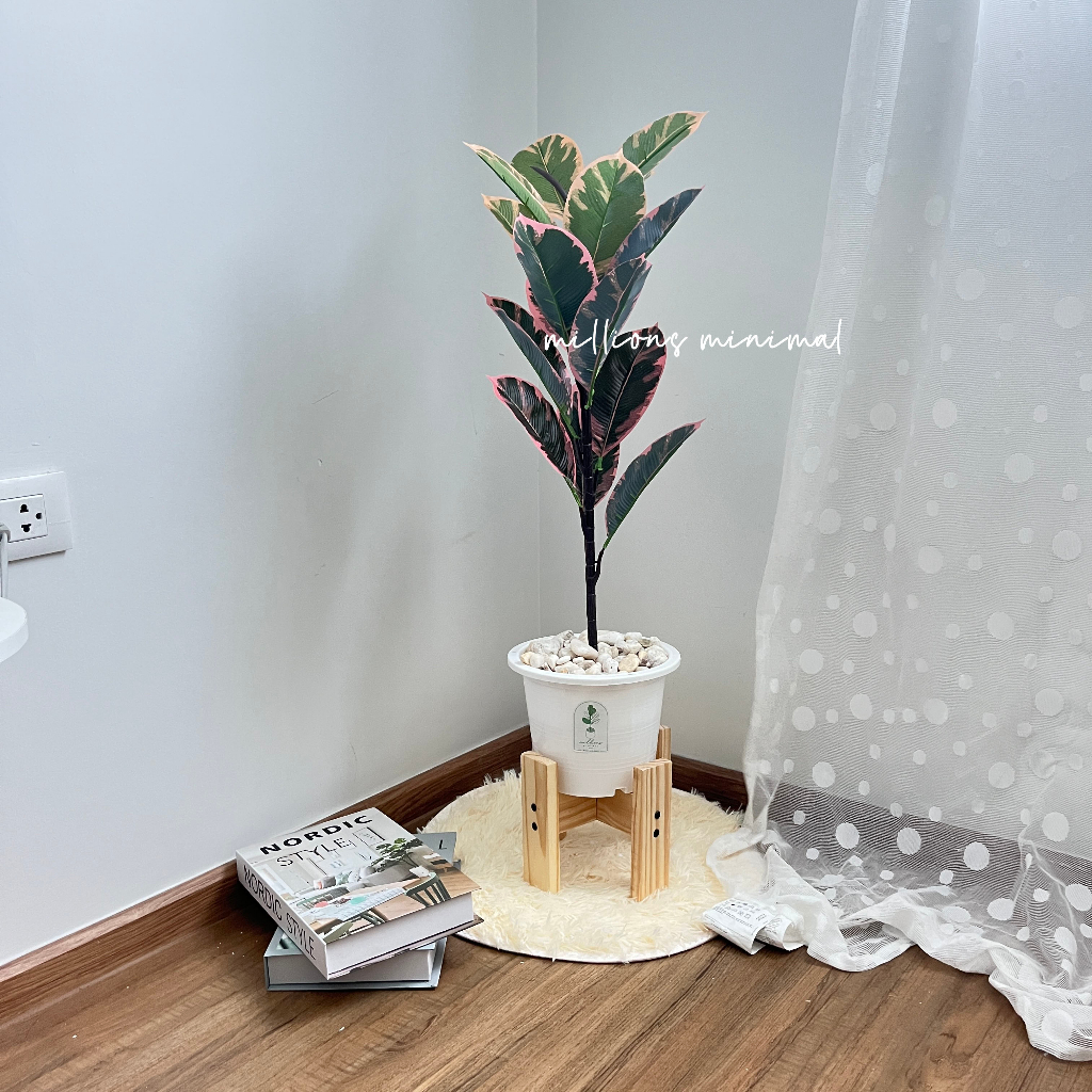 ราคาถูกที่สุด ต้นไม้ปลอม ต้นไทรใบสัก ต้นมอนสเตอล่า พร้อมกระถางแถมฟรีหิน - รูปที่ 6