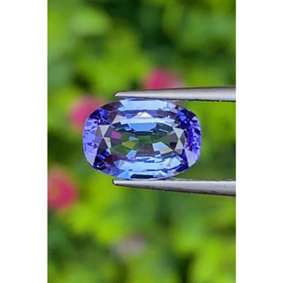 พลอย แทนซาไนท์ Tanzanite 1.92 กะรัต (Cts.)