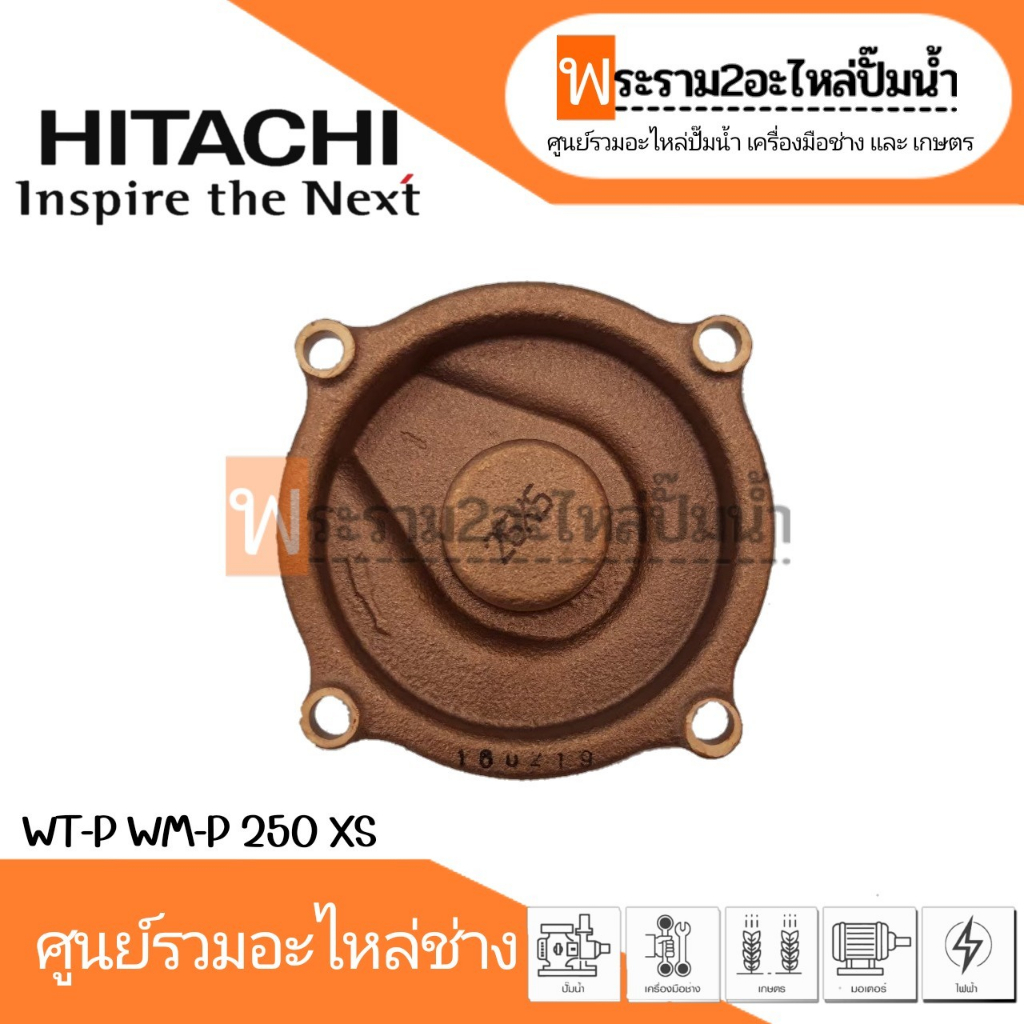ฝาครอบใบพัดทองเหลือง WT-P,WM-P 250 XS / WT-PS 250 XS แท้