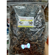 จิ้งหรีดอบแห้ง 500 กรัม โปรตีนสูงเเสนอร่อย ส่งไวราคาย่อมเยาว์