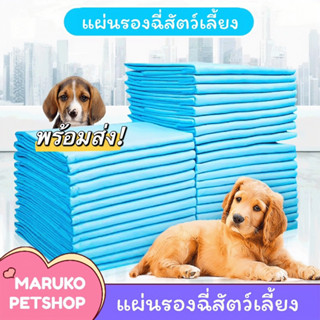 【พร้อมส่งในไทย】 แผ่นรองฉี่สุนัข แผ่นรองฉี่ แผ่นซับฉี่ รองฉี่ อุปกรณ์สัตว์เลี้ยง อุปกรณ์สัตว์เลี้ยง ของใช้สัตว์เลี้ยง