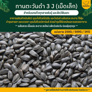 ทานตะวันดำ 3J เม็ดเล็ก Black Sunflower Seeds สำหรับนกแก้วทุกสายพันธุ์ และสัตว์ฟันแทะ (แบ่งขาย 250G / 500G /1KG)