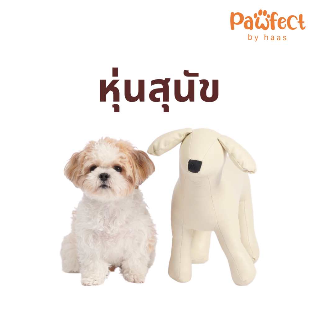 Pawfect by haas หุ่นสุนัข สีเบจ ไซส์ L (ปรับยืน/นั่งได้)