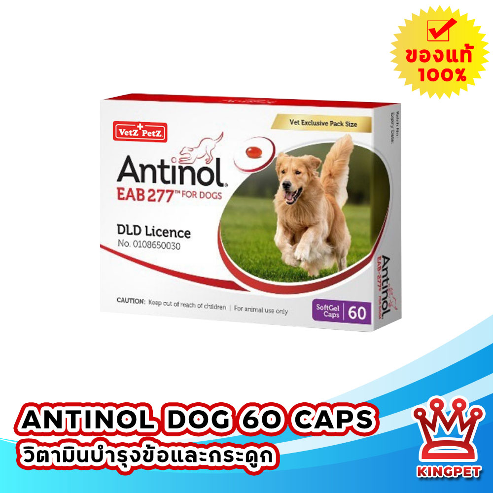EXP 3-2025 Antinol dog 60 เม็ด วิตามินบำรุงข้อสำหรับสุนัขทุกสายพันธุ์