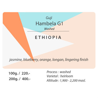 Ethiopia Guji Hambela G1 (Washed) / 100g. / 200g.