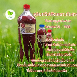 หัวเชื้อจุลินทรีย์ จุลินทรีย์สังเคราะห์แสง PSB