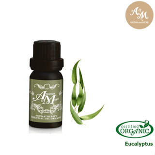 Aroma&amp;More  Eucalyptus Essential Oil 100% น้ำมันหอมระเหยยูคาลิปตัส 100% ออร์แกนิค, เนปาล /Organic Nepal 10/30ML