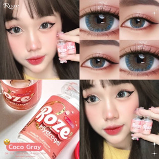 💋 มีค่าสายตา 💋 Rozelens CoCo Gray Brown 💋 บิ๊กอาย สุดปัง คอนแทคเลนส์ รายเดือน มีอย แถมตลับฟรี เลนส์นิ่ม สวยปังมาก