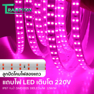 🔥พร้อมส่ง🔥ไฟปลูกต้นไม้ 220v 1m/2m/3m/5m/6m/8m/10m ไฟเส้น Led Grow Light Full spectrum ไฟปลูก กันน้ำ พร้อมสายสวิตช์ 1ม