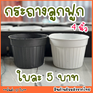 กระถางลูกฟูก 4 นิ้ว  ส่งจากไทย