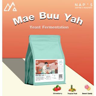 NAPSCOFFEE เมล็ดกาแฟ คั่วอ่อน MaeBuuYah - Yeast Fermentation 200G