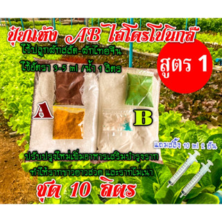ปุ๋ยแห้ง AB ผักสลัด ฯ  สูตร 1  ชุด 10 ลิตร