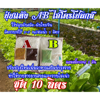 ปุ๋ยแห้ง AB.ผักสลัด ผักไทย ชุดคู่ 10 ลิตร