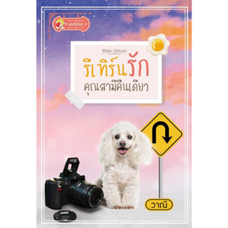 หนังสือ รีเทิร์นรักคุณสามีคืนเดียว (รีเทิร์นรัก)