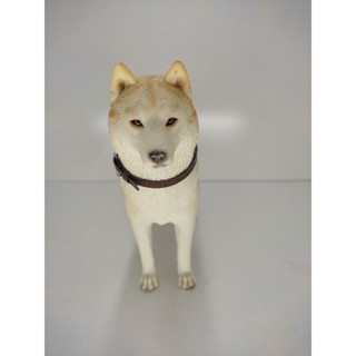 1/6 SCALE PET : Shiba