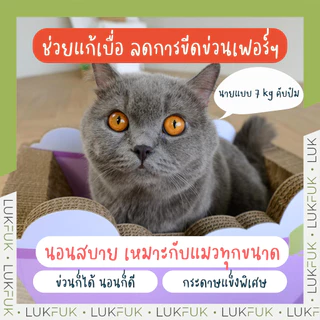 LUKFUK (ลูกฟูก) ที่นอนและที่ลับเล็บแมวกระดาษ ขนาดใหญ่ รุ่น “อ่างน้ำแมว” (L Carton Cat Scratcher “Bathtub”)