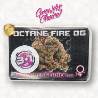 Octane Fire OG (Photo) - Growers Choice เมล็ดกัญชา นำเข้าแท้100% เมล็ดเพศเมีย