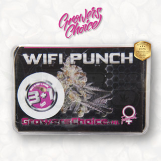 Wifi Punch (Photo) - Growers Choice เมล็ดกัญชา นำเข้าแท้100% เมล็ดเพศเมีย