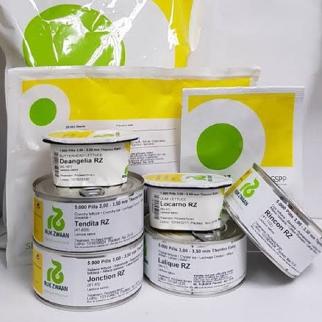 เมล็ดสลัดเคลือบ มีหลายชนิด (Rijk Zwaan) นำเข้าทุกสายพันธุ์ บรรจุ 1000 เมล็ด / กระปุก