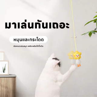 yoyopet : Cat Teaser ของเล่นแมว ไม้ตกแมว ไม้ตกแมวแบบเชือก ไม้ล่อแมวยางยืด ของเล่นแมวติดผนัง