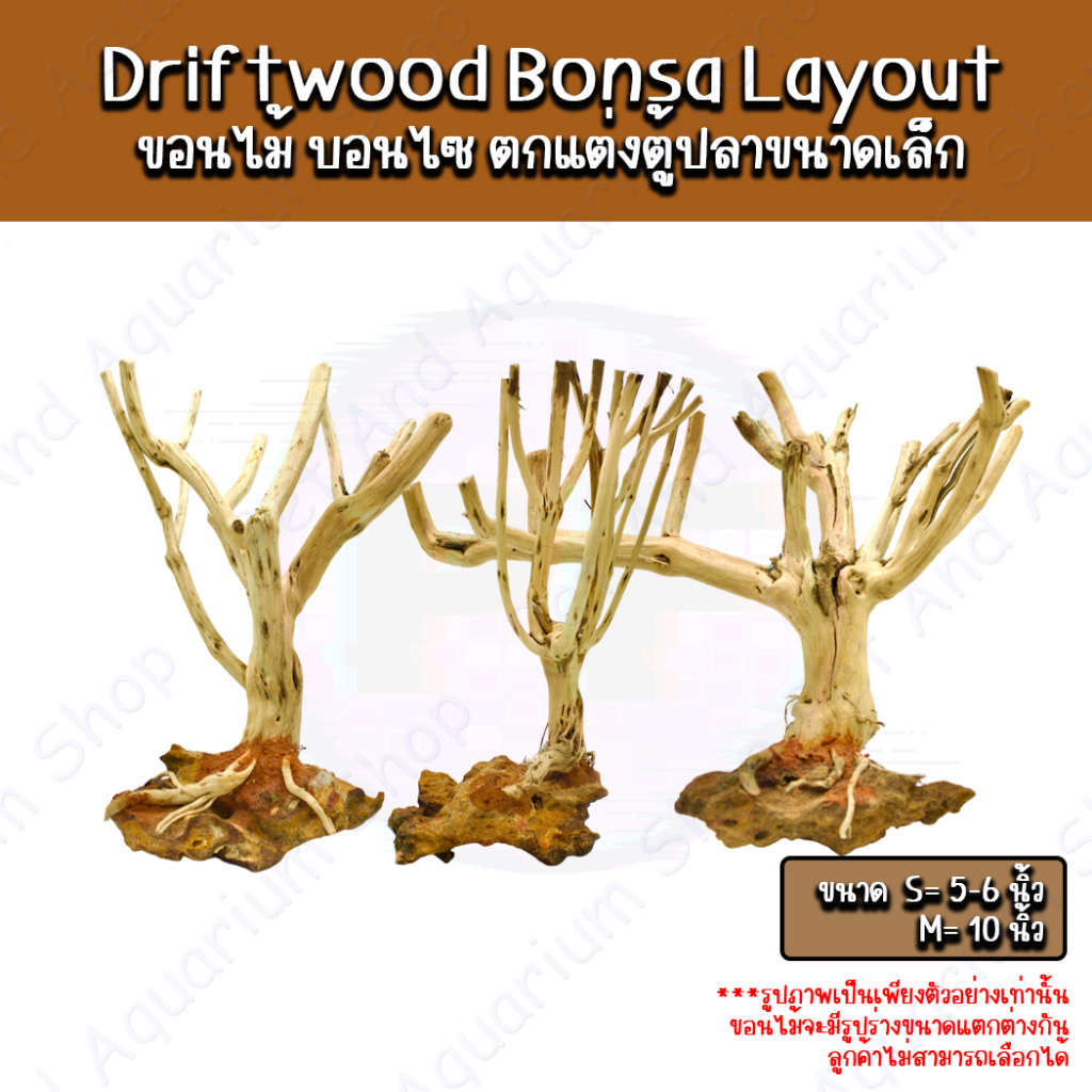 Driftwood bonsa Layout ขอนไม้บอนไซ  สำหรับตั้งตู้ไม้น้ำตกแต่งตู้ ขอนไม้ Bonsai