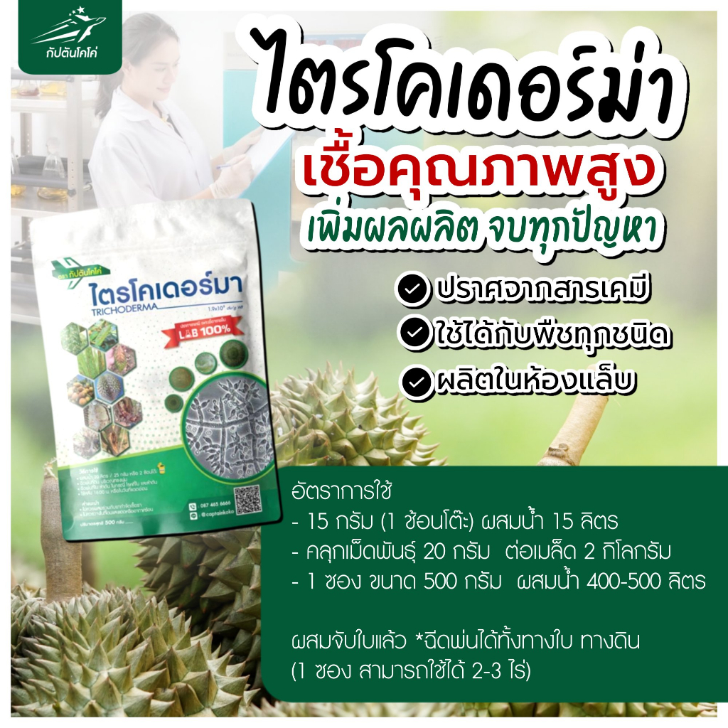 ซื้อ 2 ชิ้นถูกกว่า ของเเท้100% ไตรโคเดอร์มา กัปตันไตรไคกัปตันเมธาบิว ฆ่าโรคเชื้อรา ยาฆ่าแมลงส่วนผสมของสารจับใบ (500กรัม) - รูปที่ 2