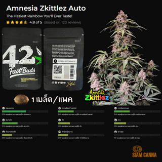 เมล็ดกัญชา Amnesia Zkittlez Auto - Fastbuds Pack : 1 seed พร้อมแพ็คเกจค่าย เมล็ดกัญชาออโต้