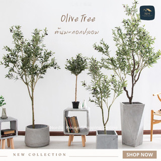 Olive Tree ต้นมะกอกปลอม ต้นไม้ปลอม งานเหมือนต้นไม้จริงมาก ดูแลรักษาง่าย