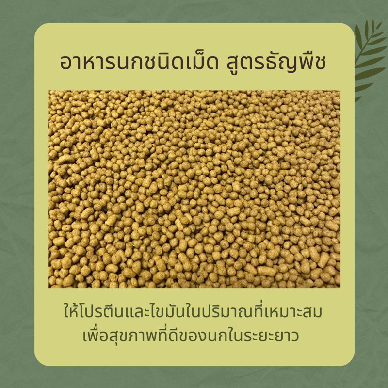 whole grain อาหารนกชนิดเม็ดสูตรธัญพืช