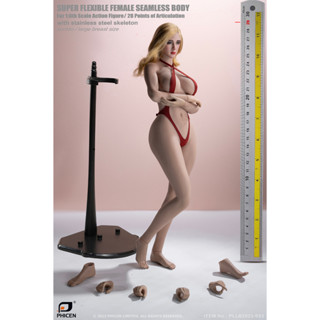 TBLeague 1/6 Female Body  PLLB2023-S53