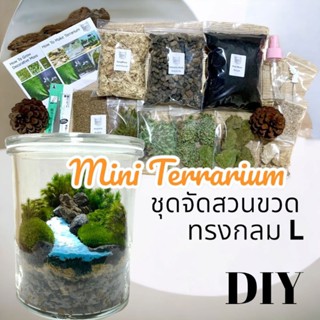 ชุดจัดสวนขวด สวนขวด Terrarium ขวดแก้วกลมใหญ่ไซค์ L