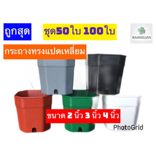 กระถาง ทรงแปดเหลี่ยม ขนาด 2 นิ้ว 3นิ้ว 4นิ้ว ชุด50ใบ 100ใบ ร้านจัดส่งทุกวัน