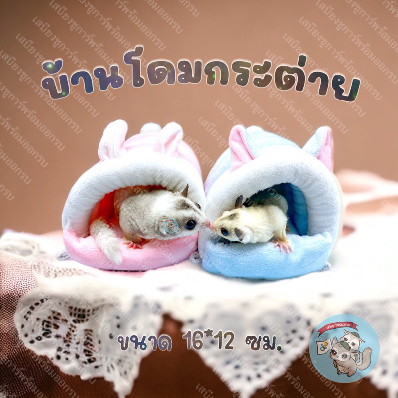 V ( บ้านโดมกระต่าย ) บ้านโดม บ้านนุ่ม บ้านนุ่มนิ่ม ที่นอน บ้าน เบาะนอน ชูการ์ กระรอก แฮมสเตอร์ นก ดอร์เมาส์ สัตว์เล็ก