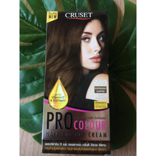 ครูเซ็ท A09 สีกาแฟเอสเพรสโซ่ สีผม สีย้อมผม เปลี่ยนสีผม  CRUSET PRO A09 ESPRESSO COFFEE HAIR COLOR CREAM